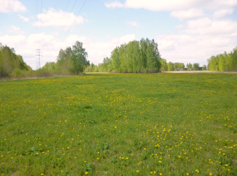 деревня, русская деревня, женщина в селе, село, глубинка