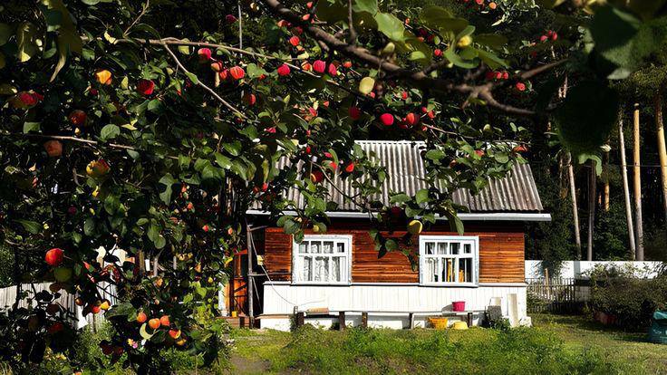 дом в деревне, деревенский дом, купить дачу, переехать за город, переезд в деревню